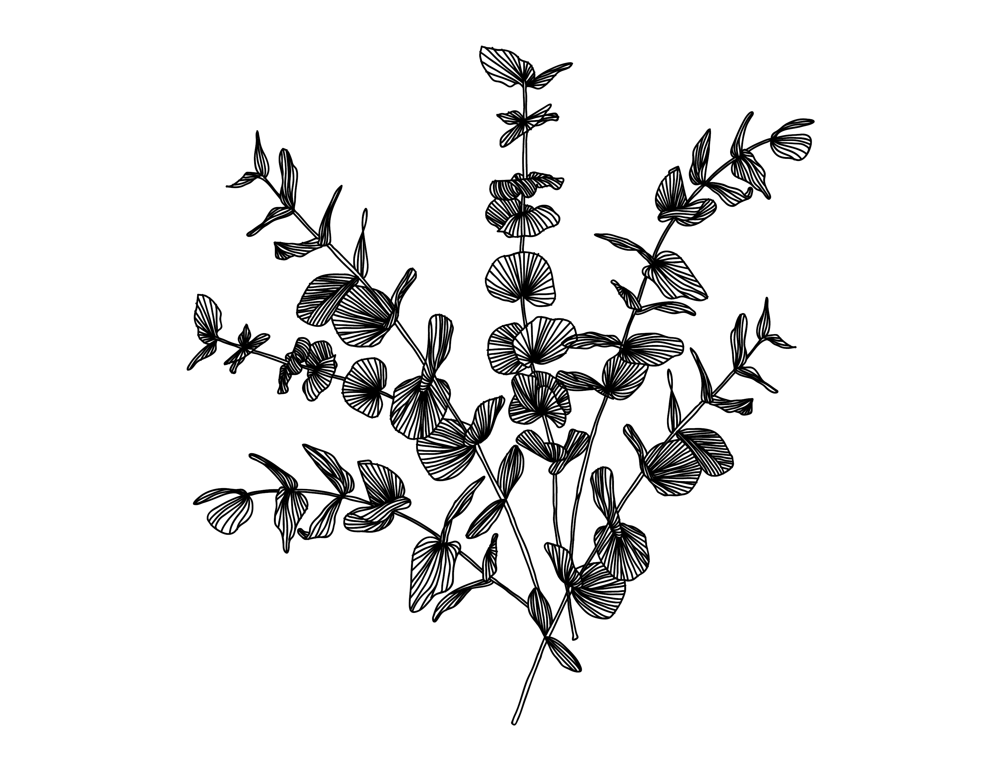 3300x2550 laser cut wall art kristen gjesdahl