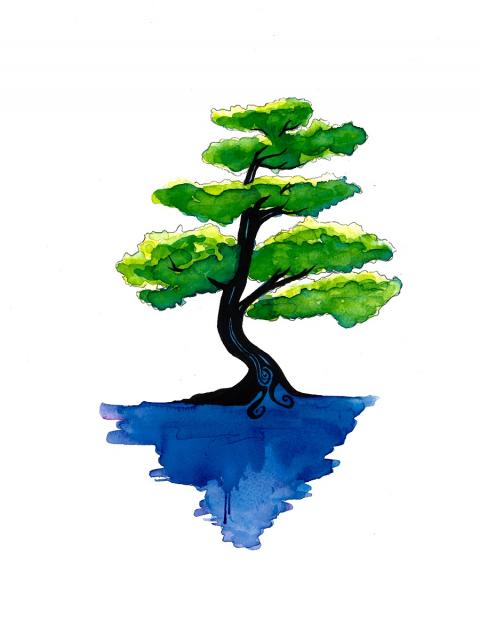 480x640 Tree Dedications Treepeople