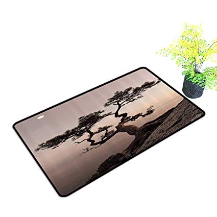 425x425 Front Welcome Entrance Door Mats Lely Juniper Tree