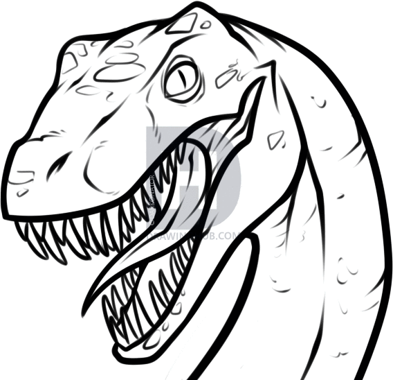 568x548 How To Draw A Raptor Head, Step