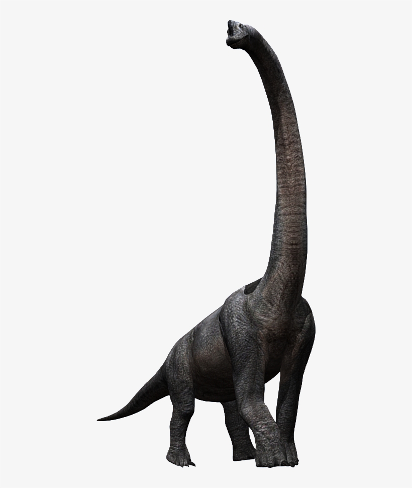 820x970 image library stock brachiosaurus drawing jurassic