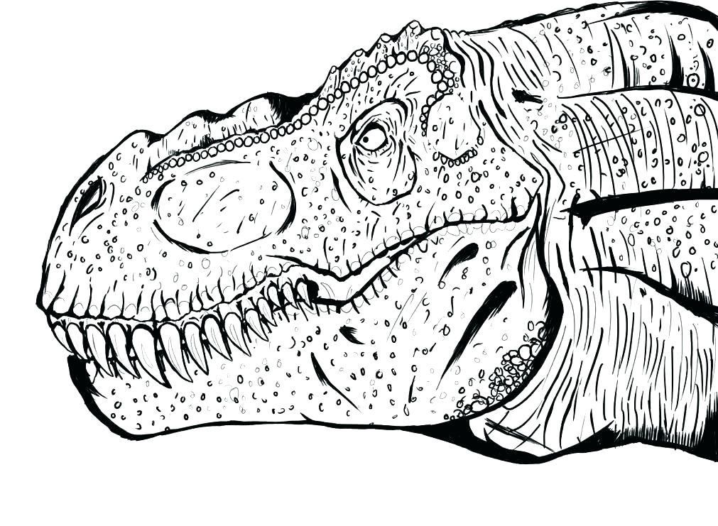 1011x741 jurassic world lego coloring pages