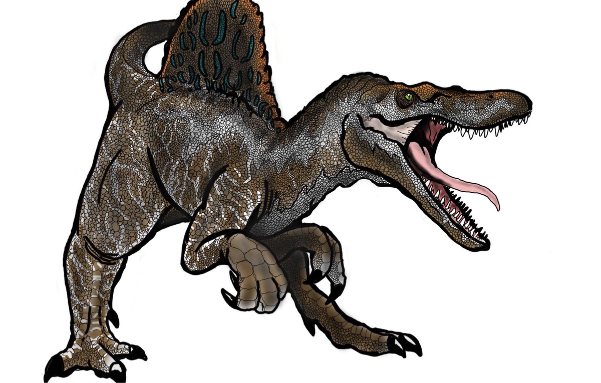 1200x765 Reptaard On Twitter Drawing This Spino Off The Hype Of Hearing