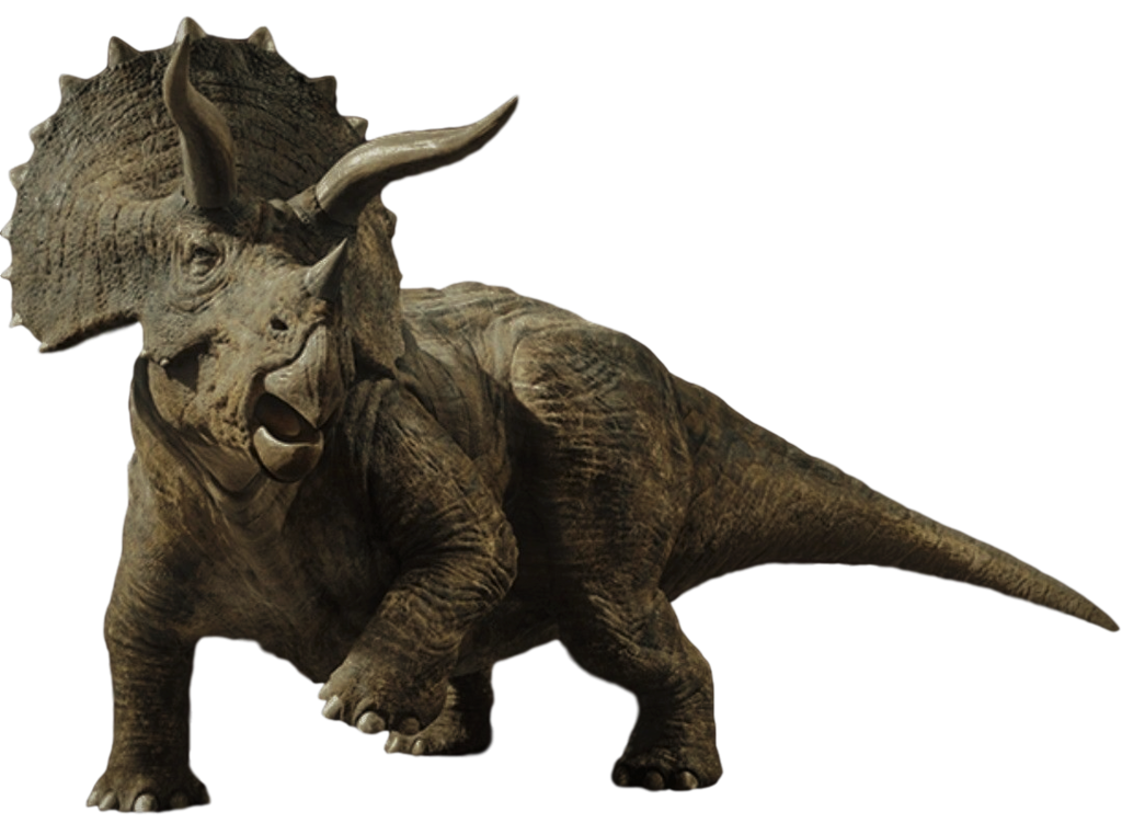 1024x751 Collection Of Free Triceratops Drawing Jurassic World Download