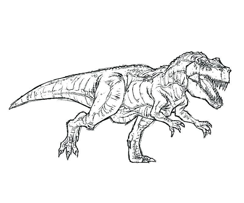 800x667 t dinosaur coloring pages rex indominus