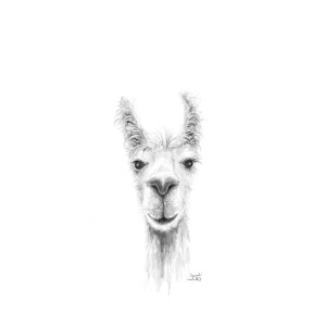 300x300 Izaiah Drawing