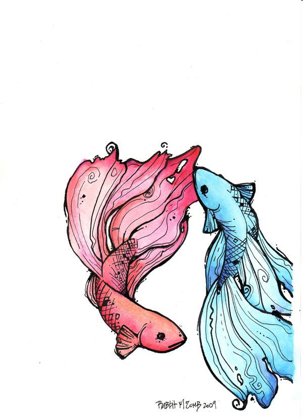 600x826 Stories On Skin Betta Fish Tattoo, Fish Drawings