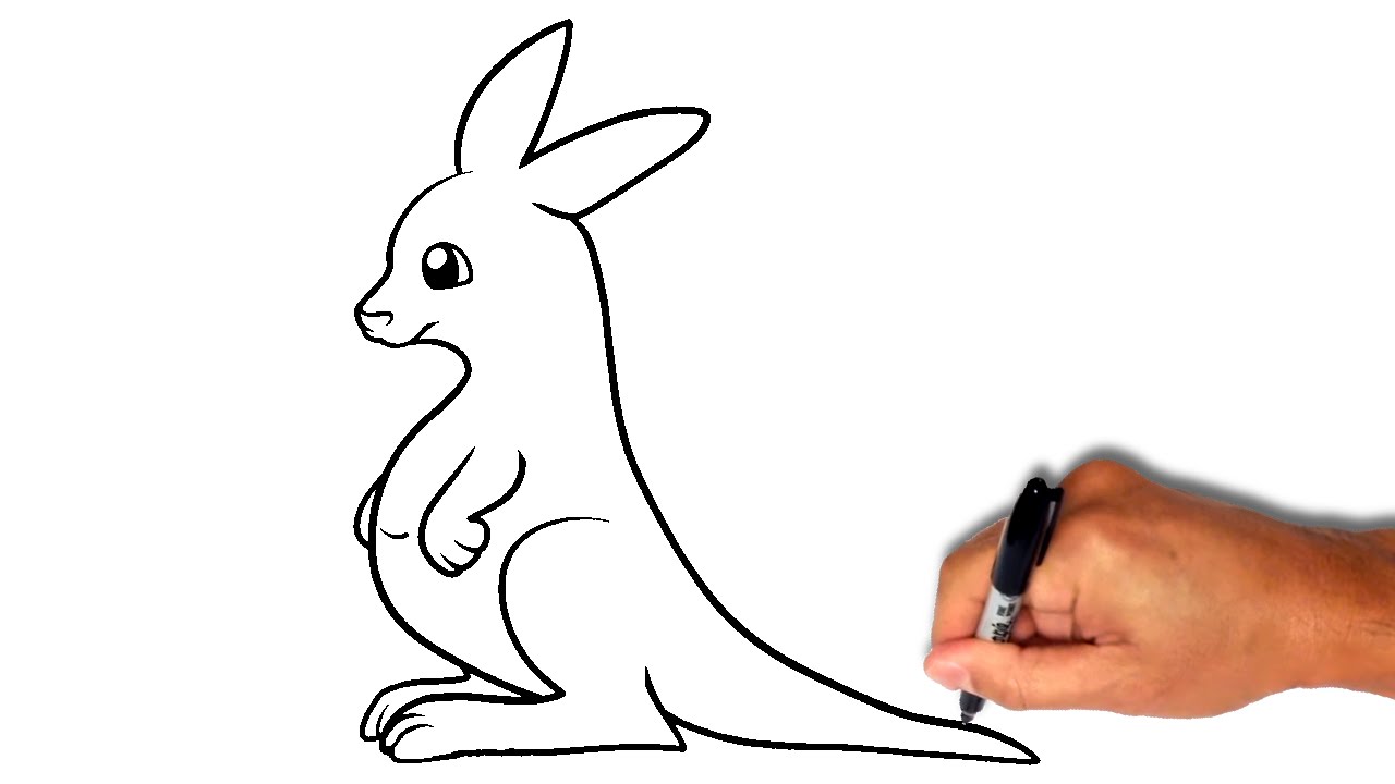 1280x720 How To Draw A Kangaroo