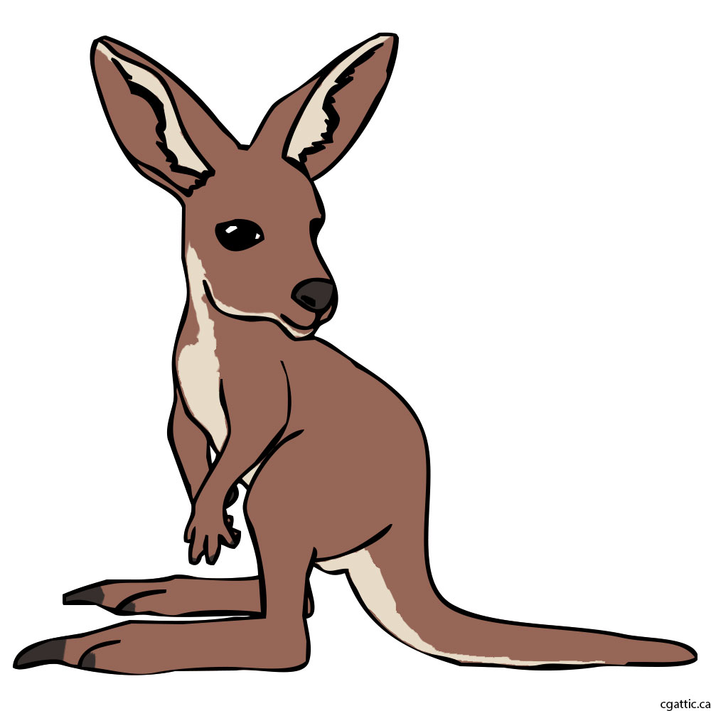 Kangaroo Cartoon Drawing Free download on ClipArtMag