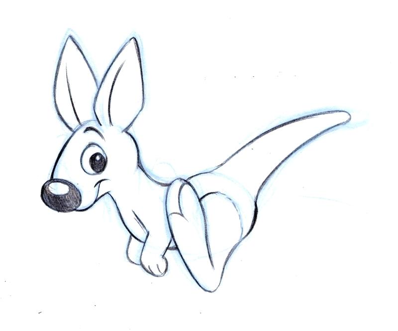 800x667 Sketch Of Kangaroo Cartoon Kangaroo Pictures License Personal Use