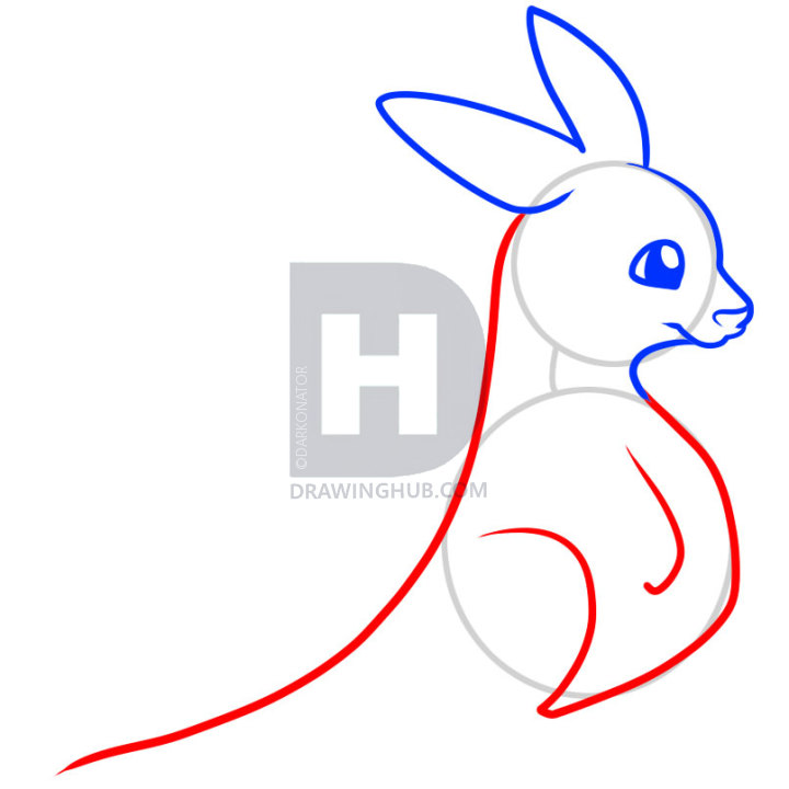 720x720 How To Draw A Kangaroo For Kids, Step