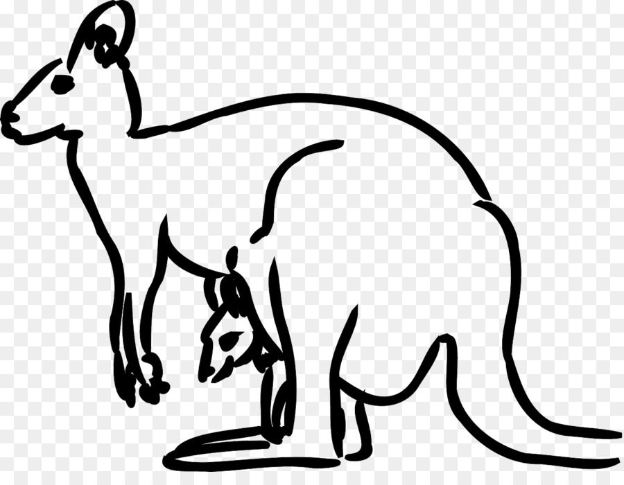 900x700 Kangaroo, Drawing, Illustration, Transparent Png Image Clipart