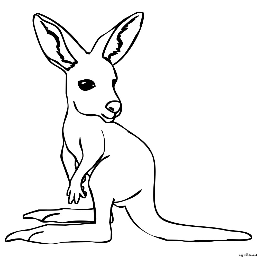 1000x1000 Kangaroo Drawing, Pencil, Sketch, Colorful, Realistic Art Images