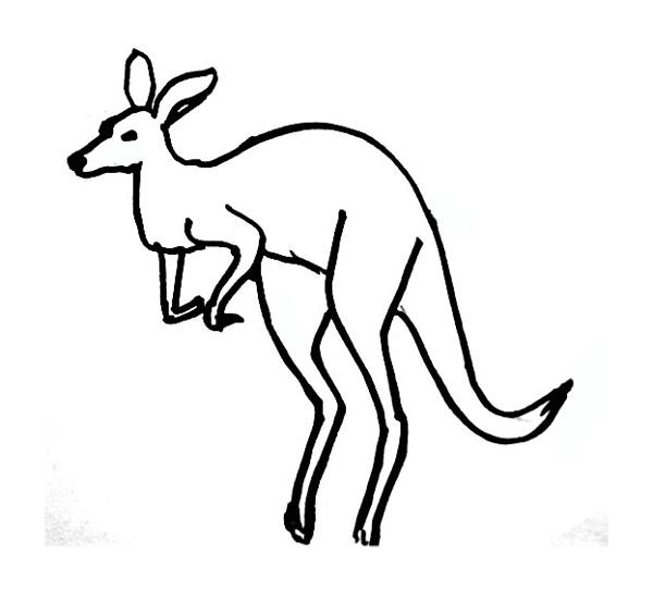 600x543 Kangaroo Coloring Pages