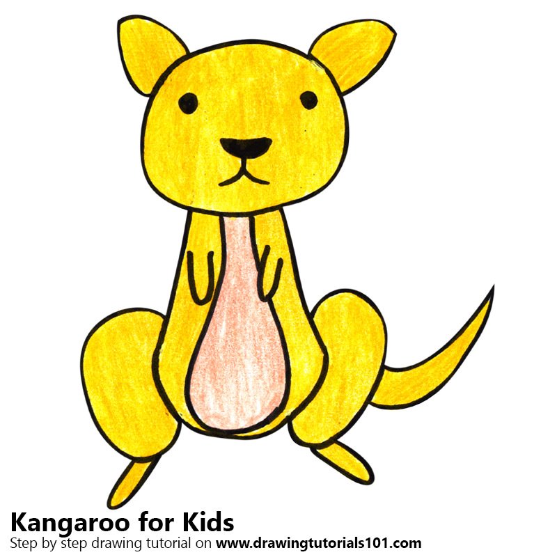 800x800 Learn How To Draw A Kangaroo For Kids