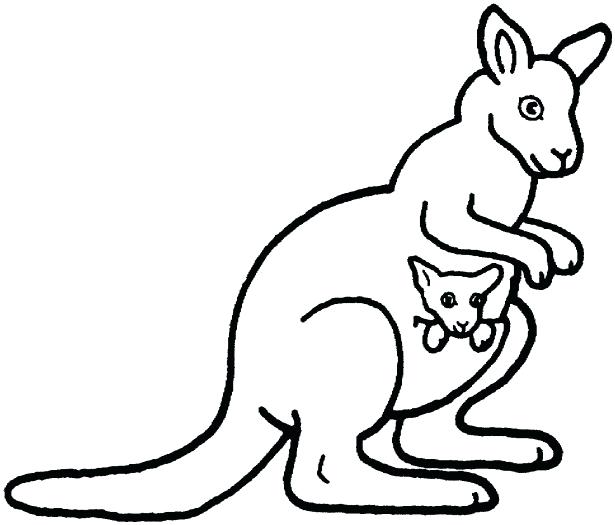 615x525 How To Draw A Kangaroo For Kids