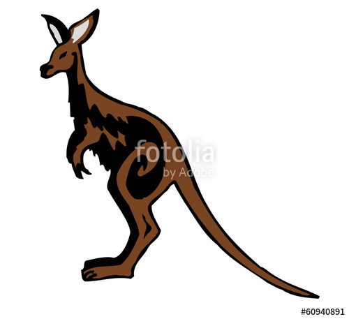 500x457 Kangaroo Drawing Stock Image And Royalty Free Vector