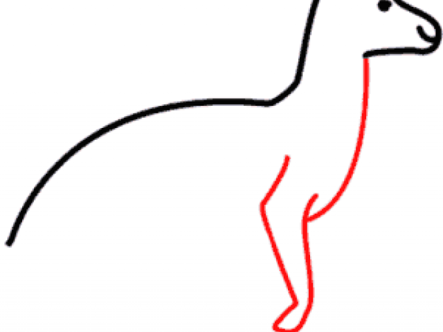 640x480 Drawn Kangaroo