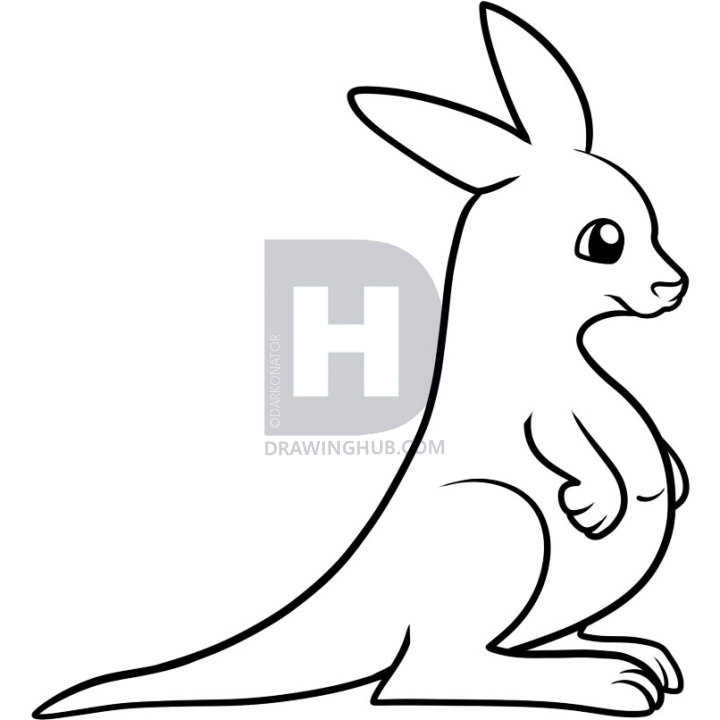 720x720 How To Draw A Kangaroo For Kids, Step