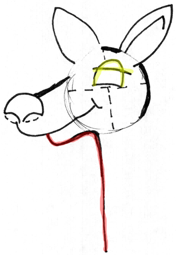 350x504 how to draw kangaroos and baby joey in her pouch cartoon with easy
