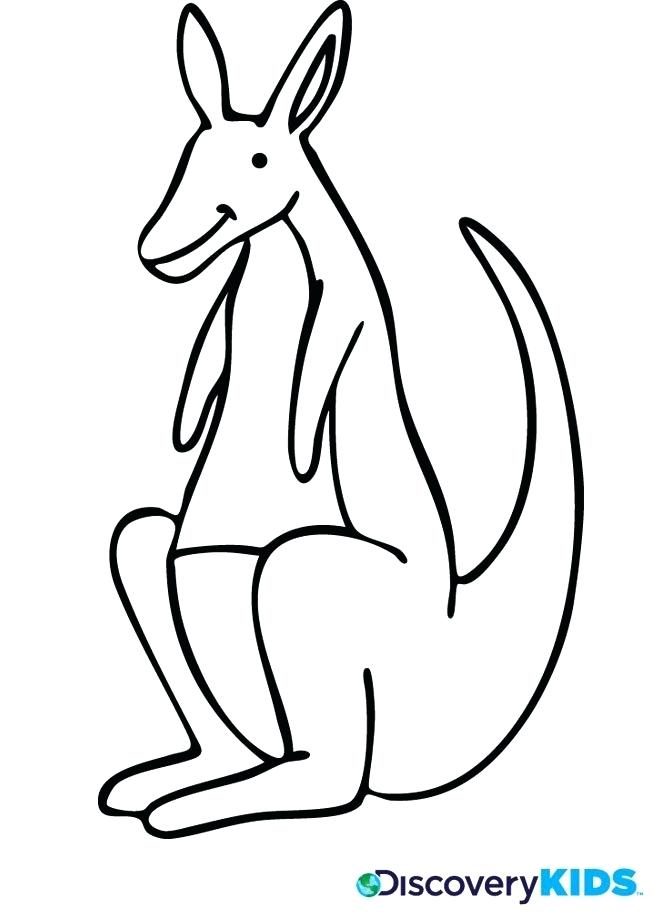 660x922 How To Draw A Kangaroo For Kids