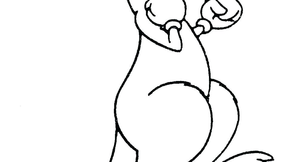960x544 Kangaroo Coloring Sheet Blank Pages Book Baby Breathtaking