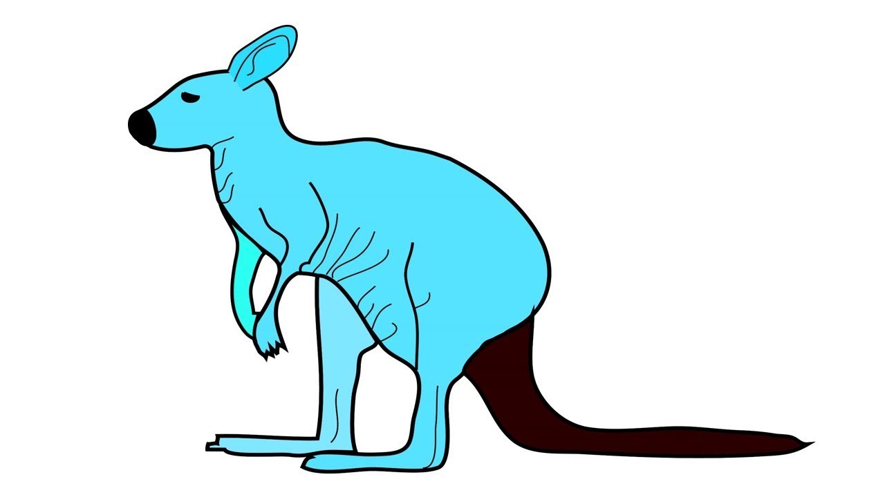 Kangaroo Drawing For Kids | Free download on ClipArtMag