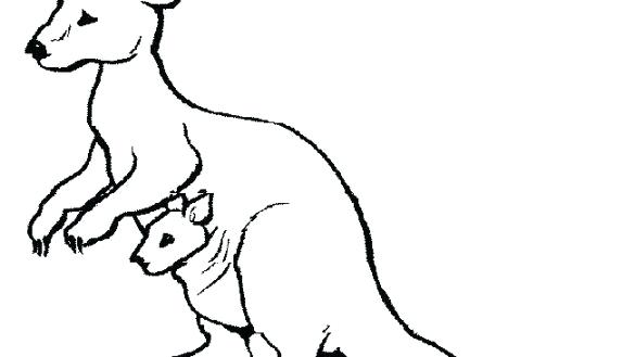 585x329 kangaroo to color kangaroo coloring pages to kangaroo express