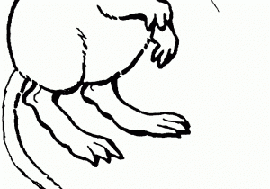 300x210 rat drawing for kids how to draw a rat for kids rat drawing
