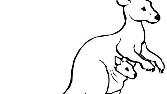 585x329 Tremendous Kangaroo Colour In Free Printable Coloring Pages