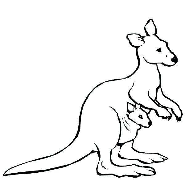 600x600 Coloring Pages Flowers In A Vase Terrific Animal Kangaroo Animals
