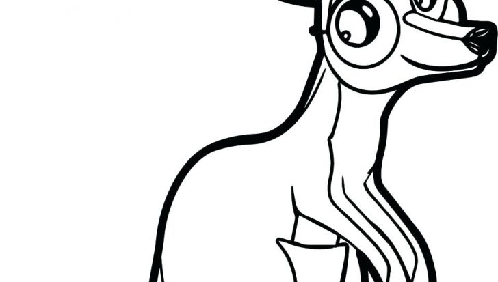 728x413 Coloring Pages For Kids Online Pokemon Girls Pdf Kangaroo Picture