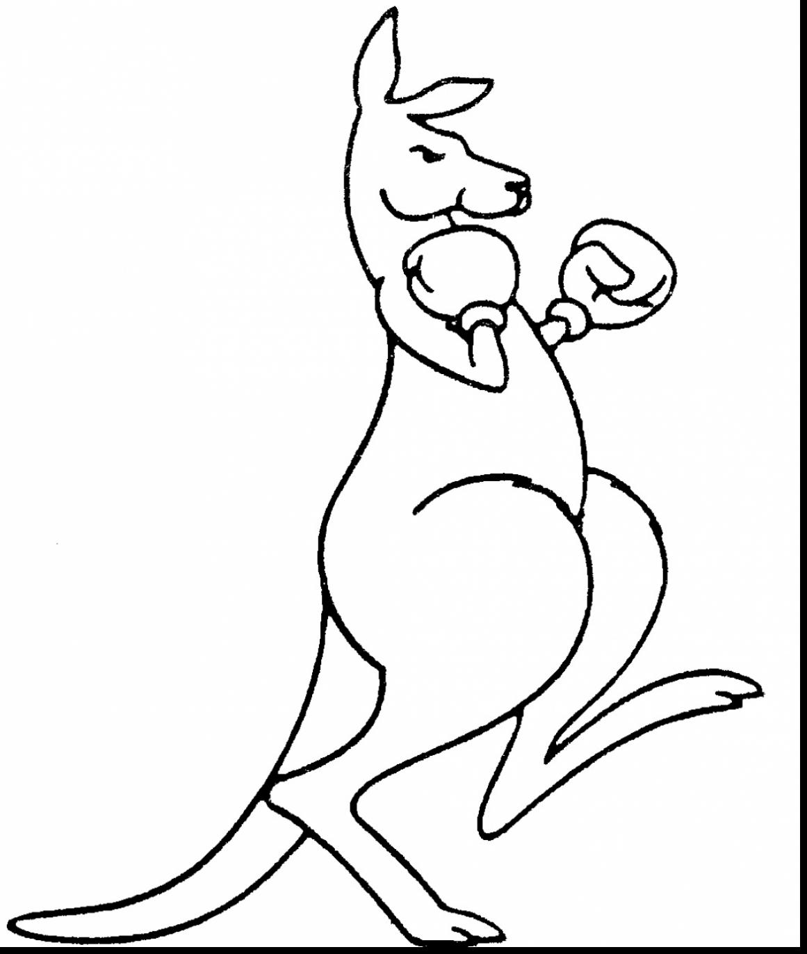 Kangaroo Outline Drawing