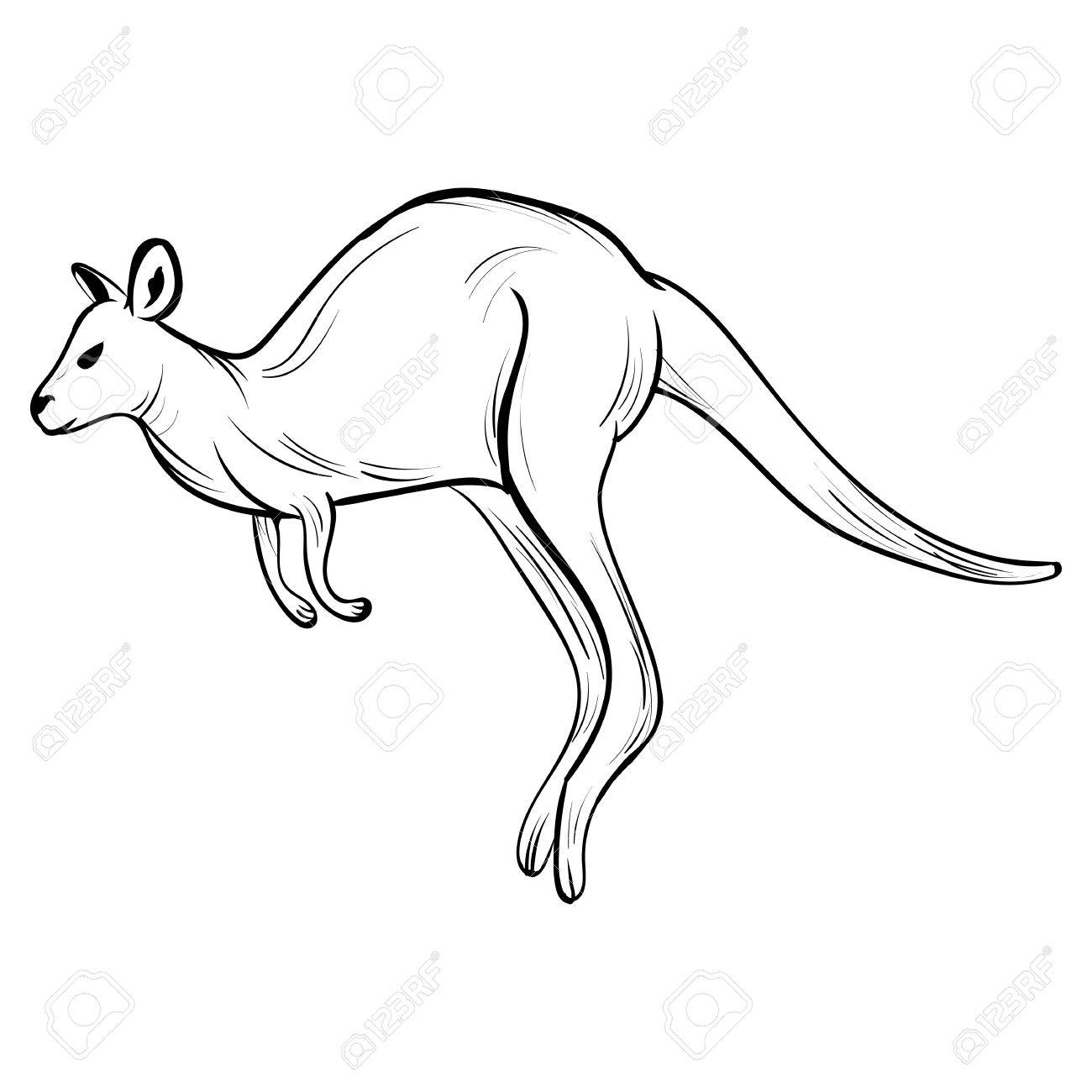 1300x1300 Drawn Kangaroo Drawing