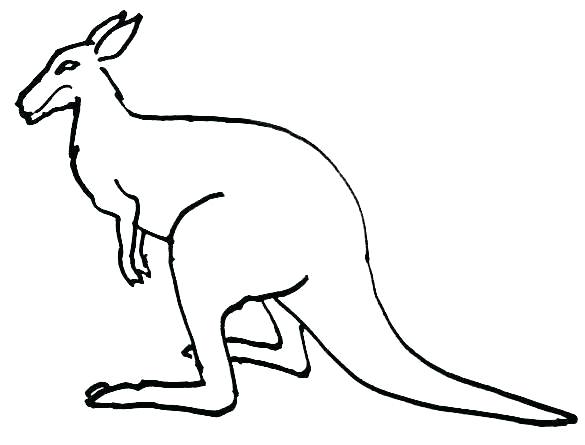 Kangaroo Outline Drawing | Free download on ClipArtMag