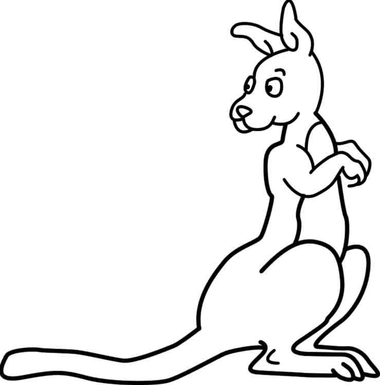 739x750 Kangaroo Outline