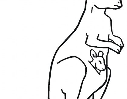 419x329 Sweetlooking Outline Picture Of Kangaroo Coloring