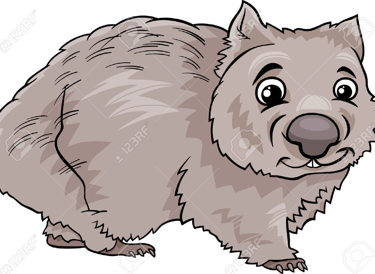 1224x895 Wombat Outline Drawing Picture Cartoon Images Exceptional Free