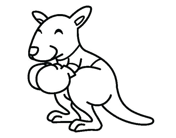 Kangaroo Outline Drawing | Free download on ClipArtMag