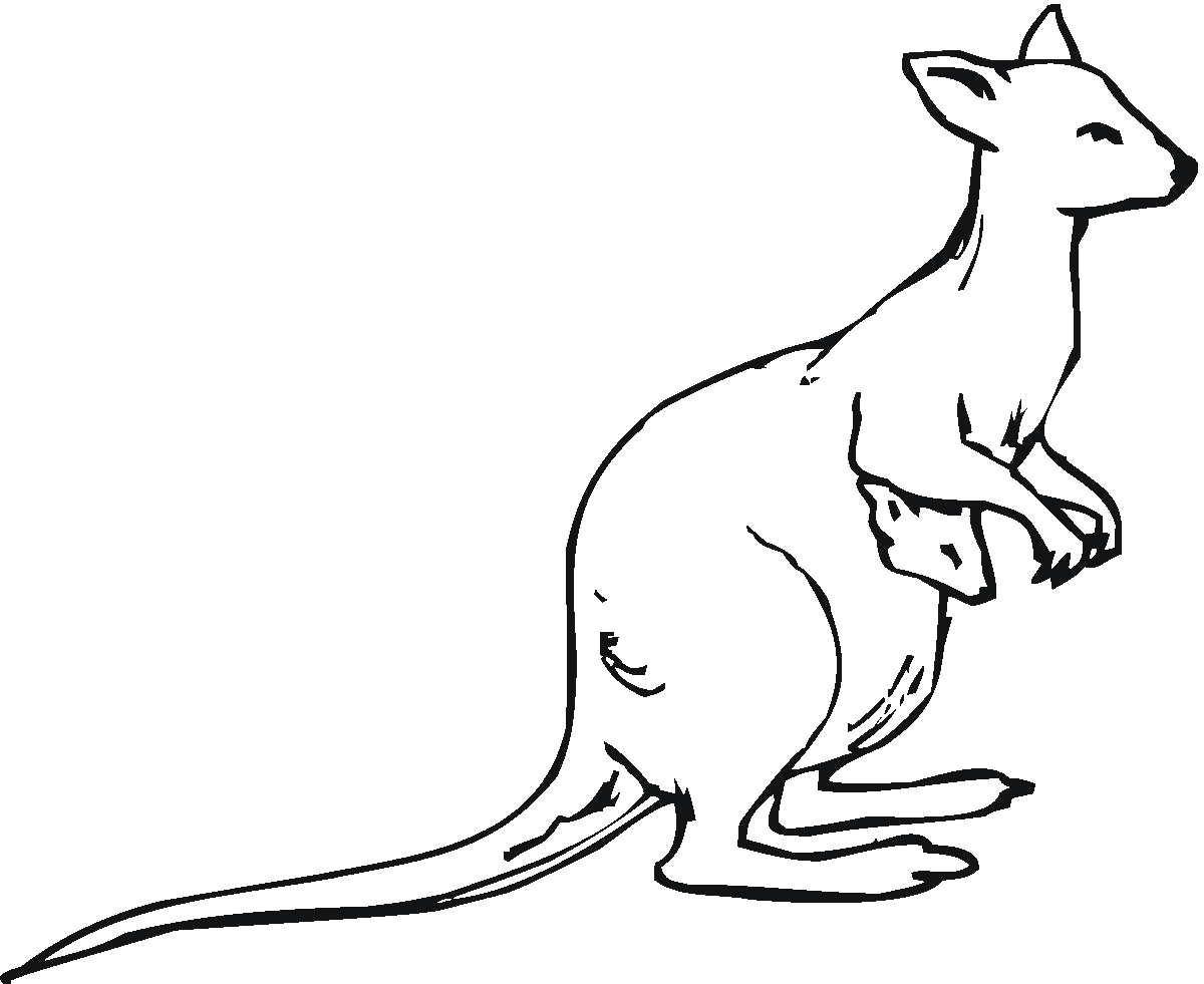 1200x981 Coloring Pages Of Kangaroos