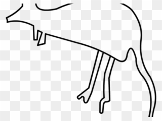 320x240 Drawing Kangaroo Cartoon