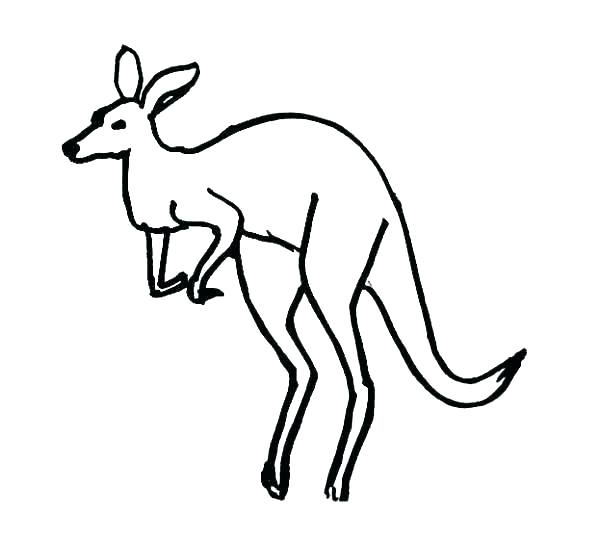 600x543 Kangaroo Coloring