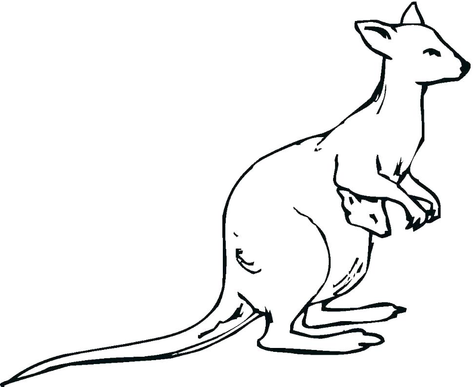 970x793 Kangaroo Colouring Pages K Is For Kangaroo Colouring