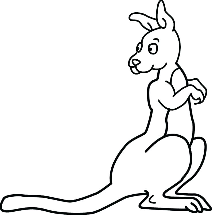 739x750 Kangaroo Rat Coloring Pages With Joey