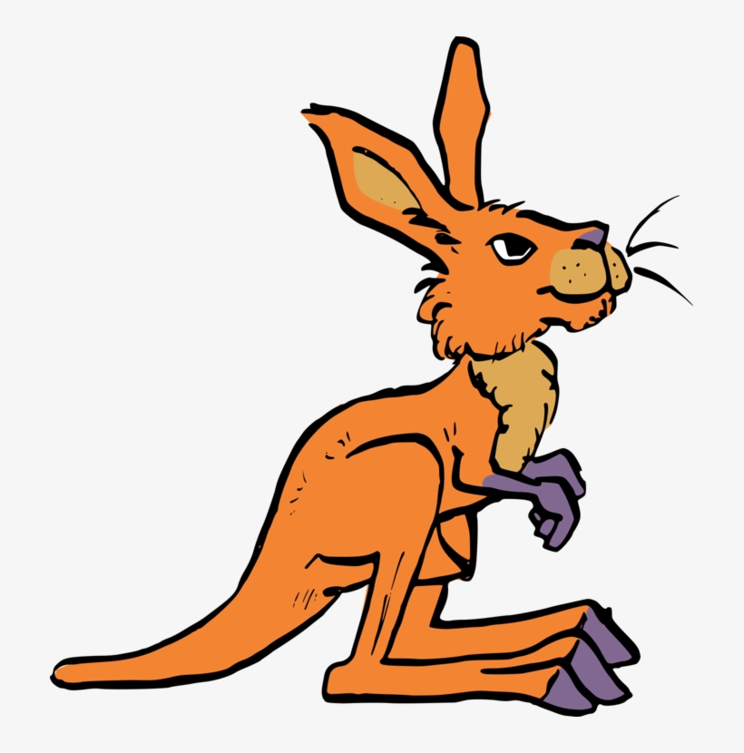 820x830 Kangaroo Rat Macropods Tail Drawing