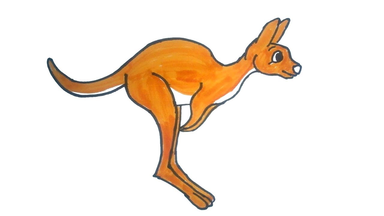 1280x720 Kangaroo Drawing Free Download