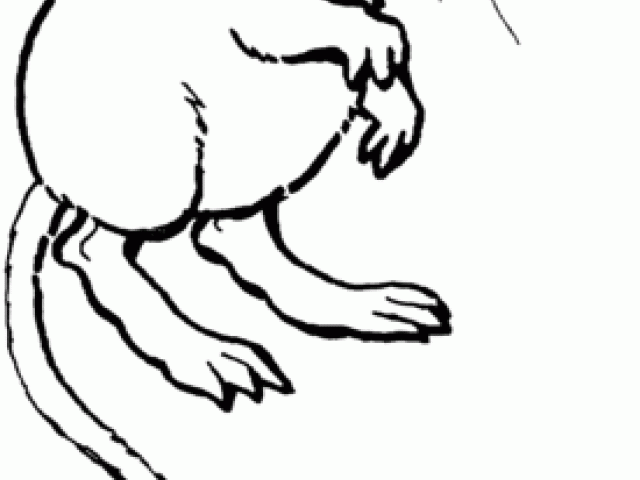 640x480 Mice Clipart Kangaroo Rat