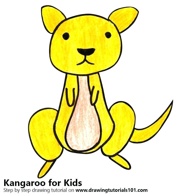 800x800 How To Draw A Kangaroo For Kids