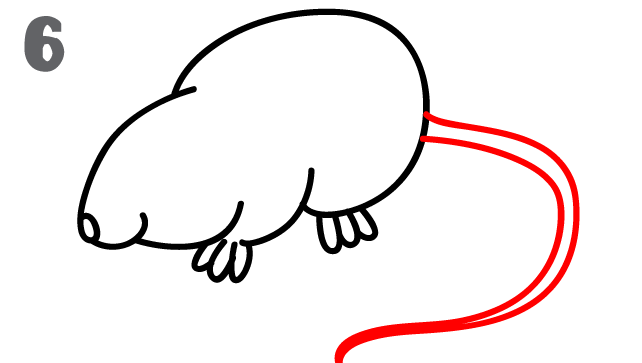 642x363 How To Draw A Mouse