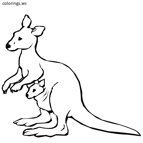 600x600 kangaroo kangaroo coloring pages, free printable kangaroo